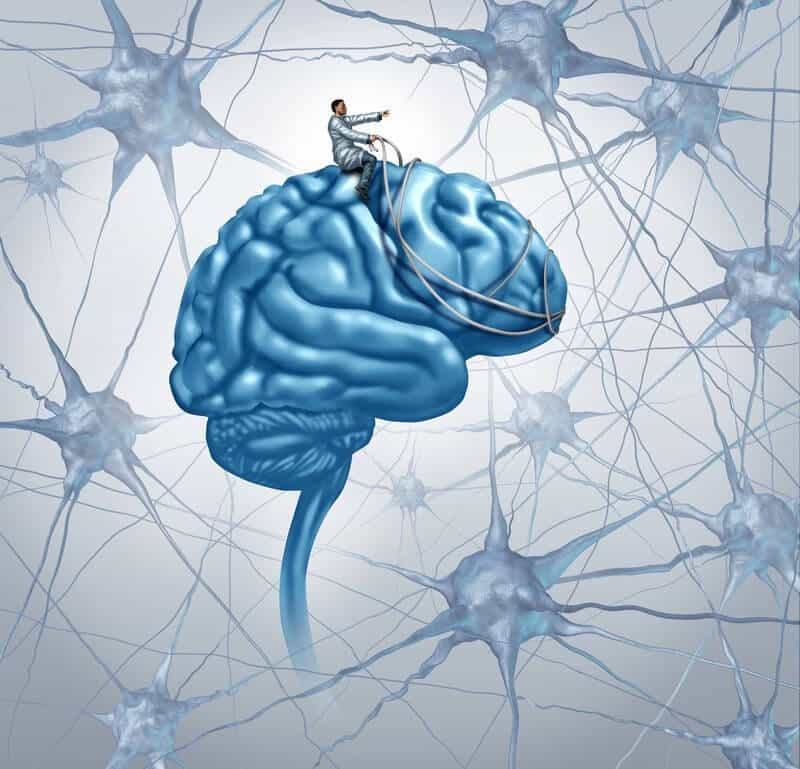 www.snail.org.ua эйдетикаcontent_neuroplasty_of_the_brain