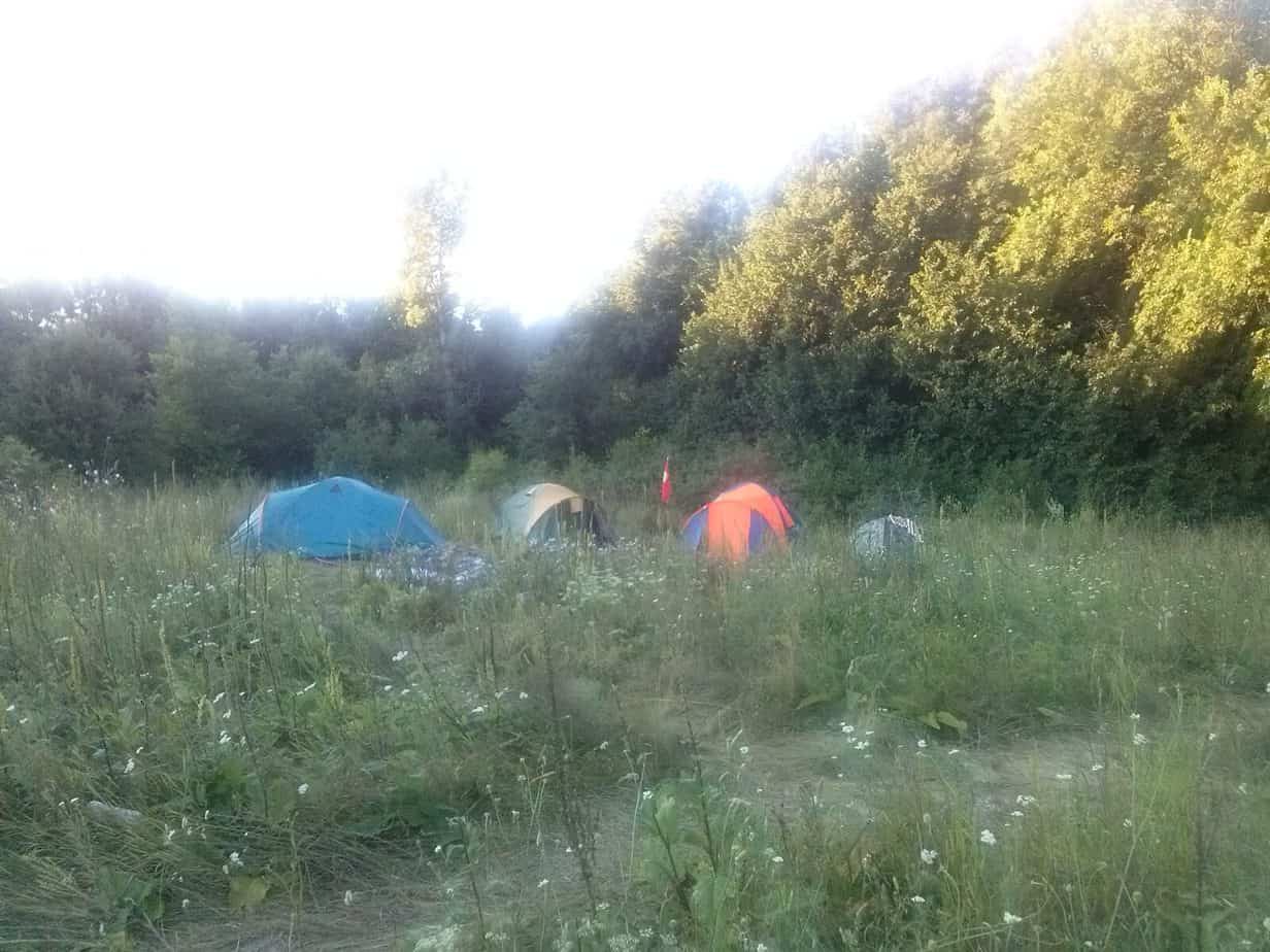 www.snail.org.ua эйдетика детский лагерь в лесу 2017_07_31 09