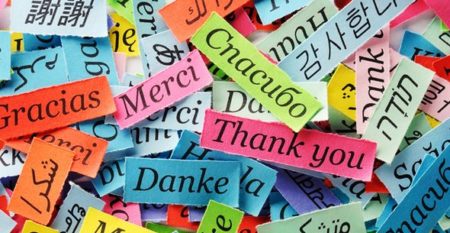 ManyLanguage